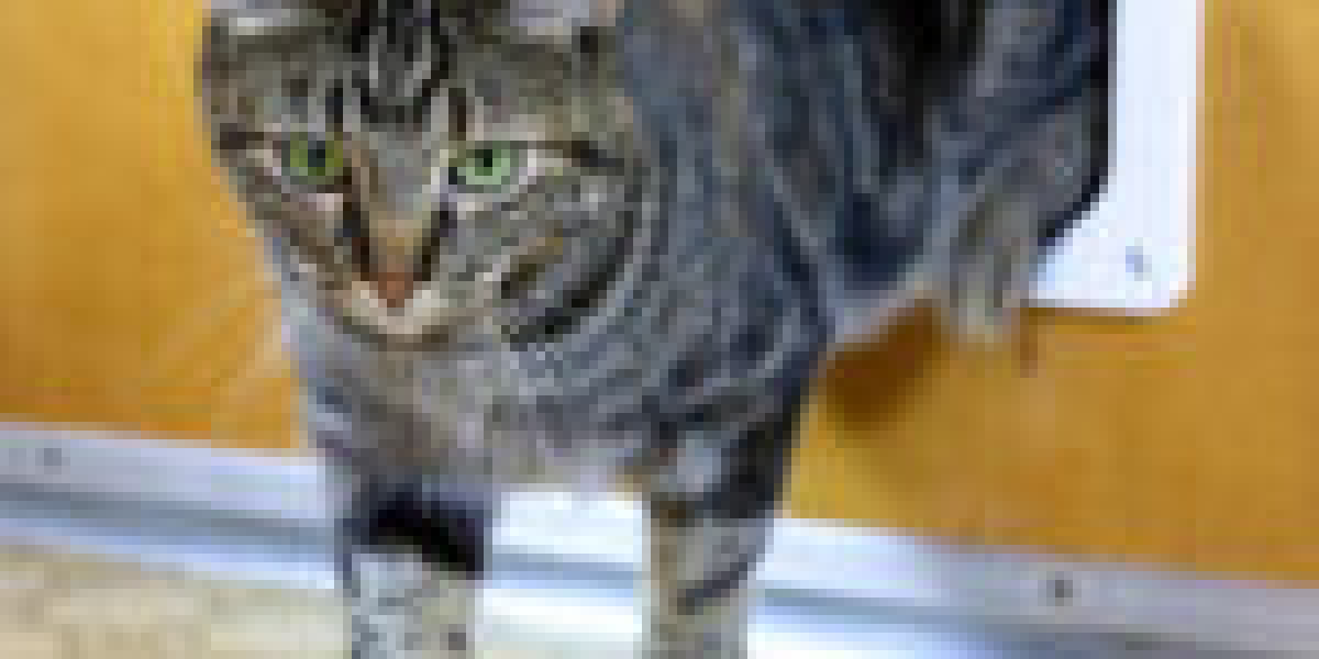 15 Things You're Not Sure Of About Cat Flap Installation Price