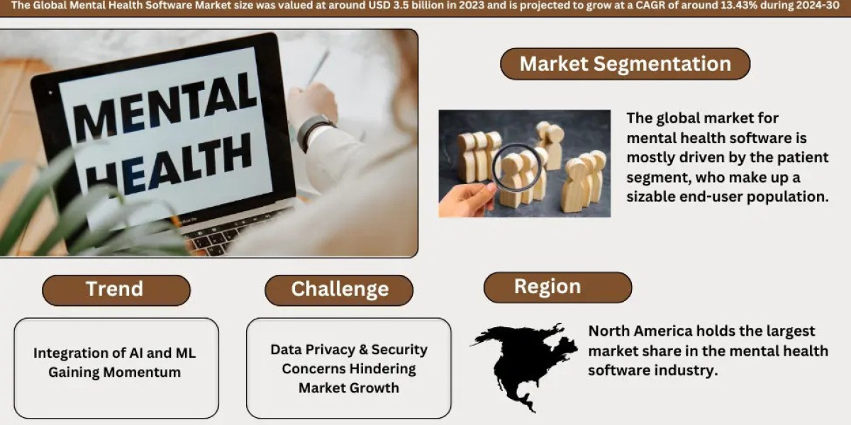 Mental Health Software Market Analysis 2024–2030: Size, Share & Future Outlook